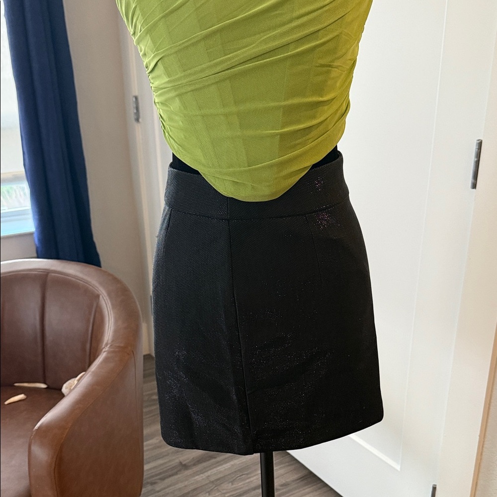 Chic Black Mini Skirt